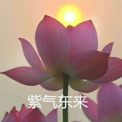 莎拉冒险世界中文版下载